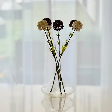 Апартаменты Premium 2 Bedroom With Ground Floor Terrace And A Personal Little Cinema