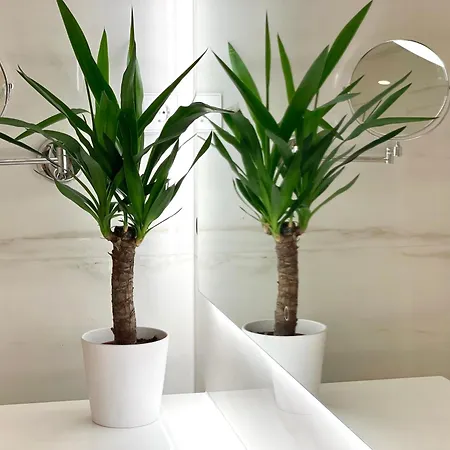 Premium 2 Bedroom With Ground Floor Terrace And A Personal Little Cinema Lejlighed *