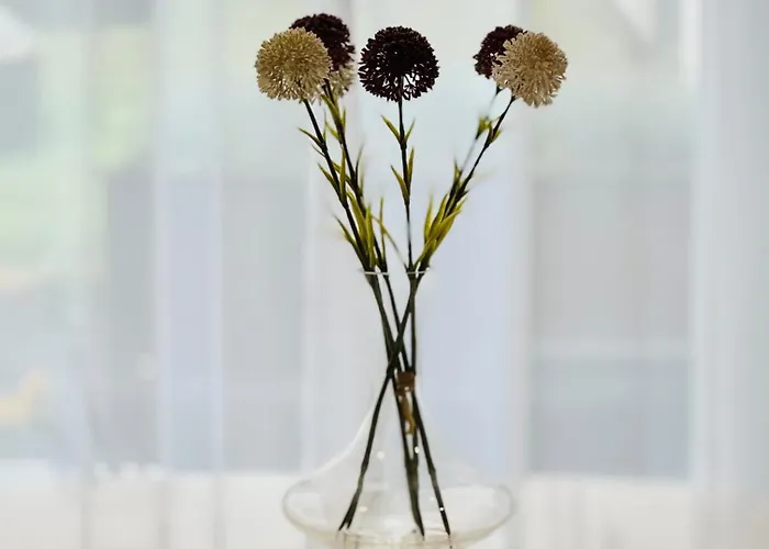 Lejlighed Premium 2 Bedroom With Ground Floor Terrace And A Personal Little Cinema